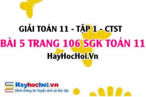 Giải bài 5 trang 106 Toán 11 tập 1 SGK Chân trời sáng tạo